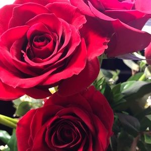 Meet your Posher, Torie